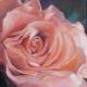 Kunstwerk vor - Altrosa Rose