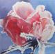 Return to artwork - Rose im Schnee---