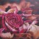 Return to artwork - Rose in welken Blättern