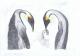 artwork - Pinguine-Familie