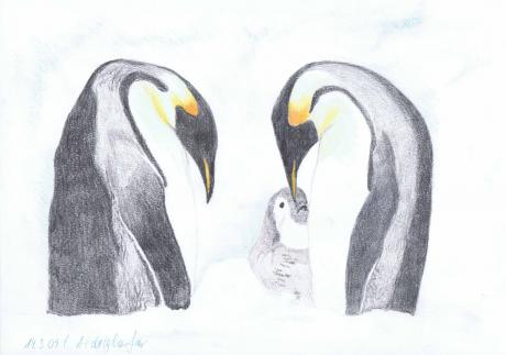 Pinguine-Familie - Claudia Lüthi