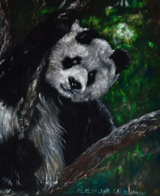 Pandabär - Claudia Lüthi