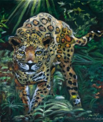 Jaguar im Dschungel - Claudia Lüthi