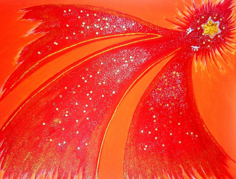 Die Sternschnuppe - Ljudmila Schulz