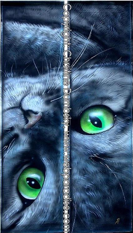 sliced cat... (2007) - Christine Dumbsky