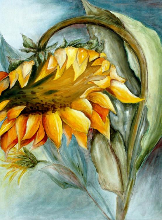 Sonnenblume (2007) - Isabel Bär