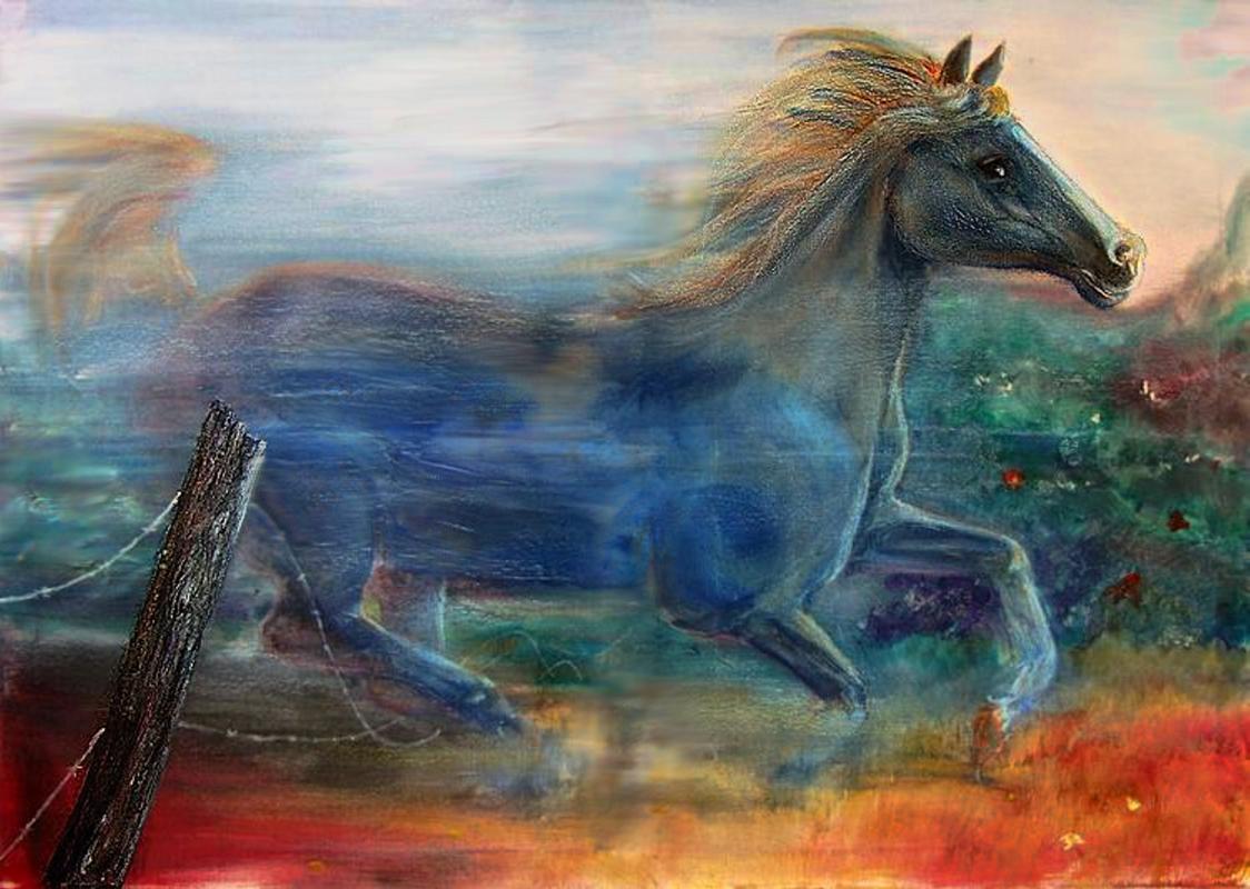 Free Willi ... - Frithjof Schulte