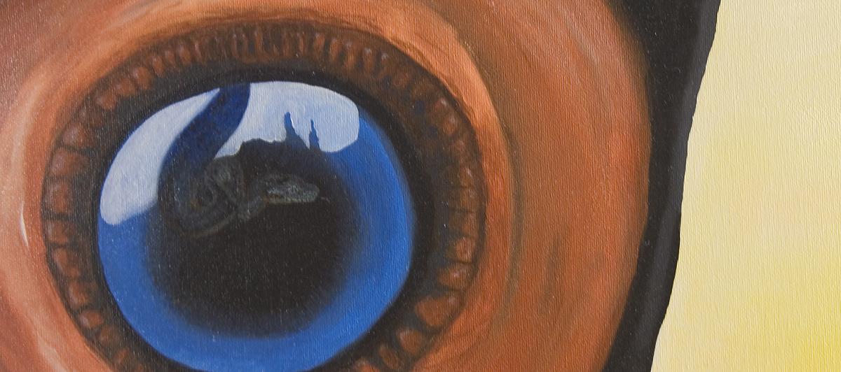 Tukanbild Detail - artHawk • Ralf ,  Knapp