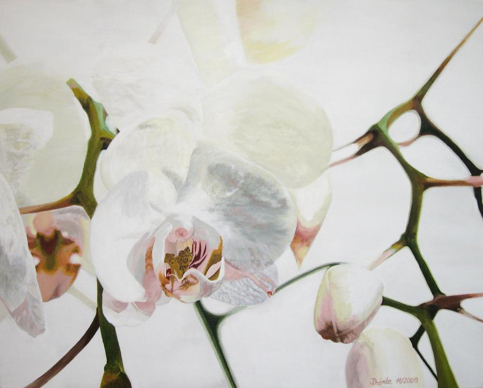 Opulente Orchidee - dunjate Kunst in Acryl