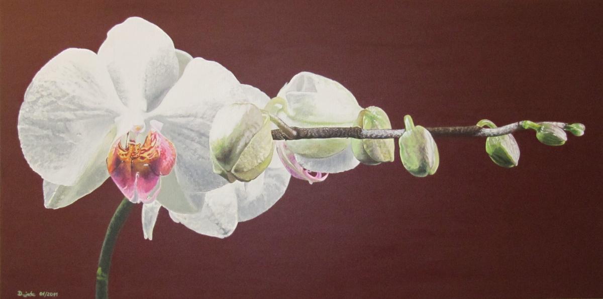 Eleganza - dunjate Kunst in Acryl