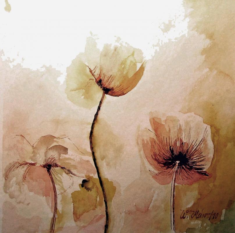 Mohnblumen (2010) - Werner Meier