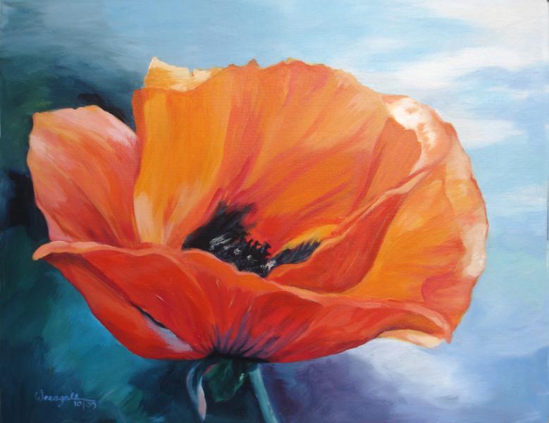 Mohnblüte - ingrid wenz-gahler