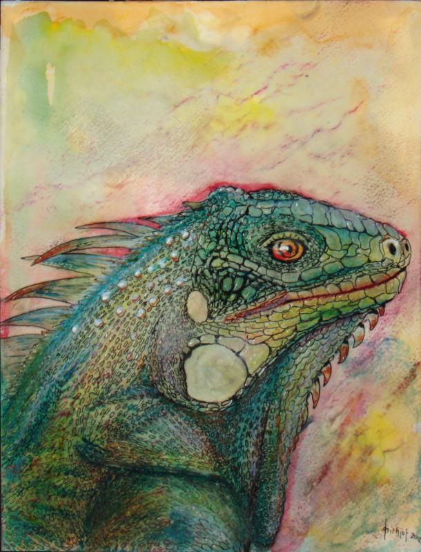 Haut Irritationen - Frithjof Schulte