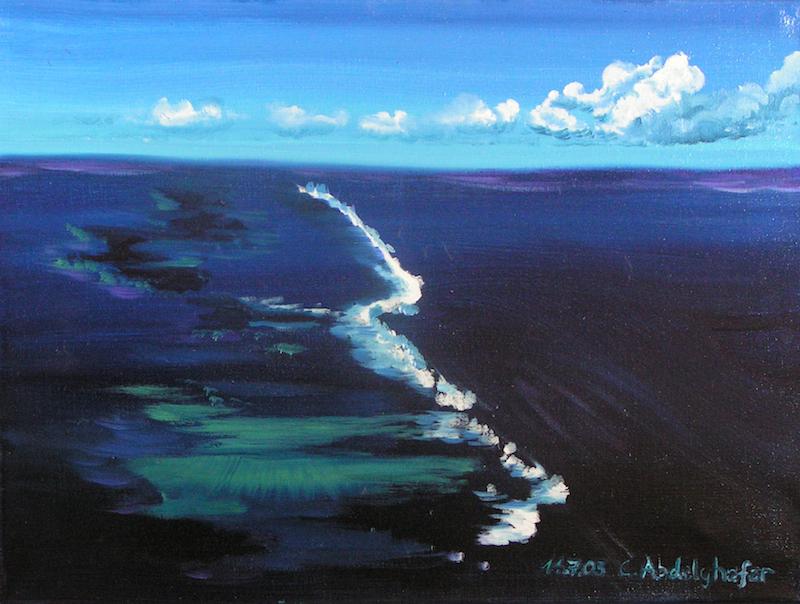 Korallenriff - Claudia Lüthi