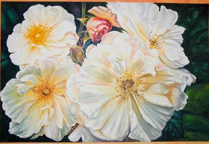 Wild-Rosen - Zdravko Radenkovic