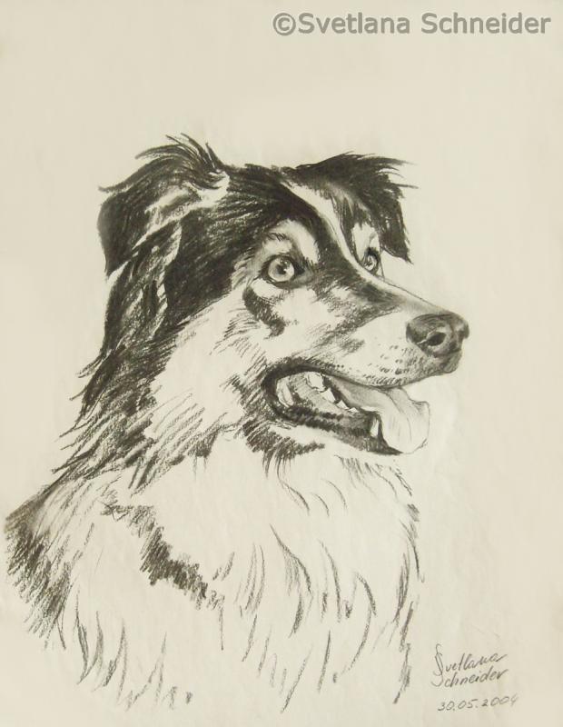 Hund - Svetlana Schneider