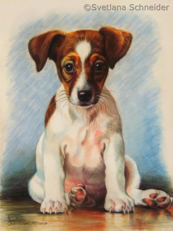 Welpe - Svetlana Schneider