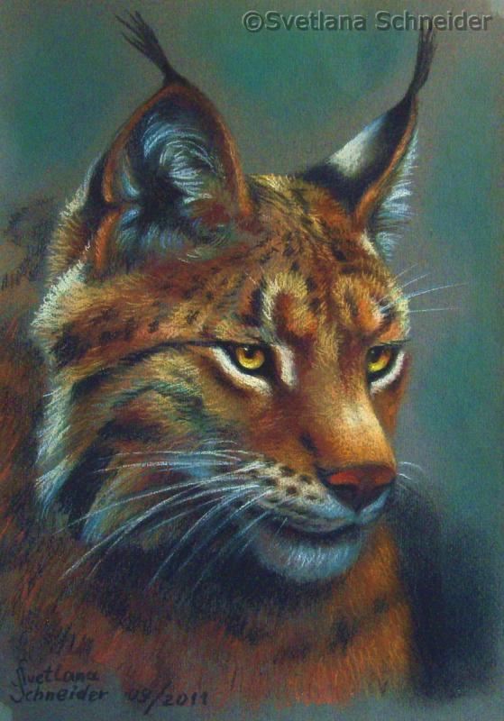 Luchs - Svetlana Schneider