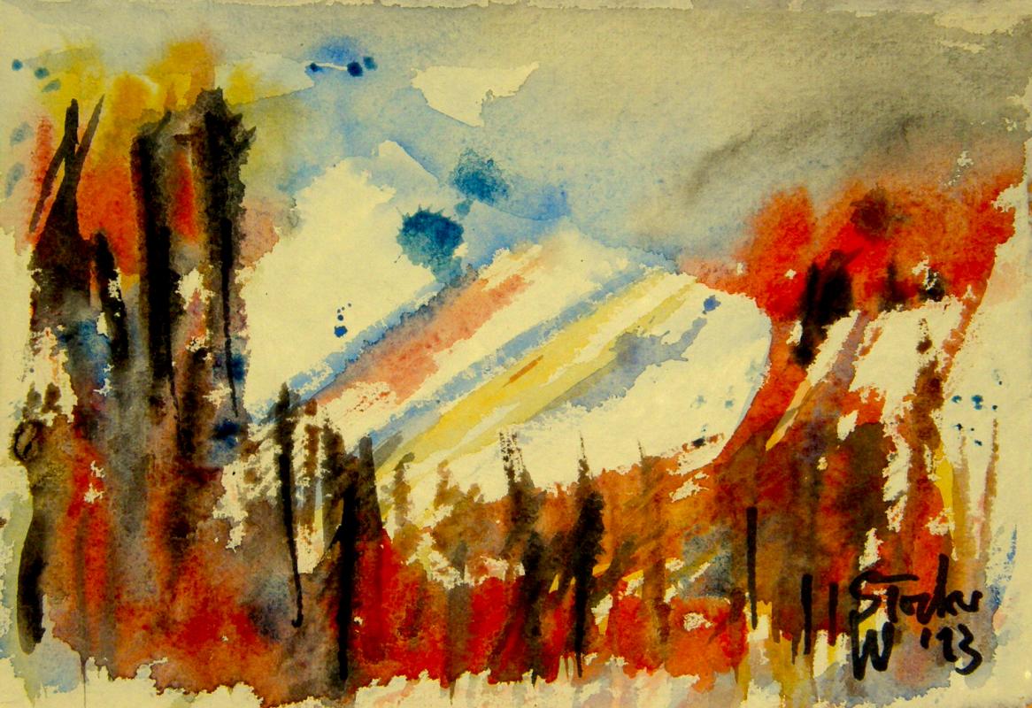 Bergwald - Wolfgang Stocker