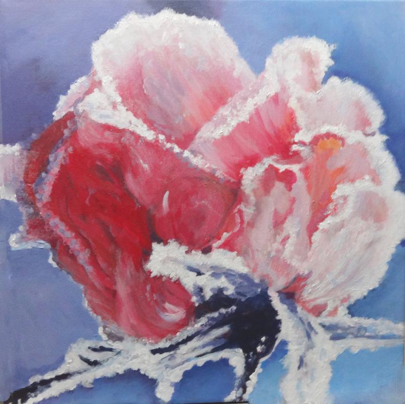 Rose im Schnee--- - ingrid wenz-gahler
