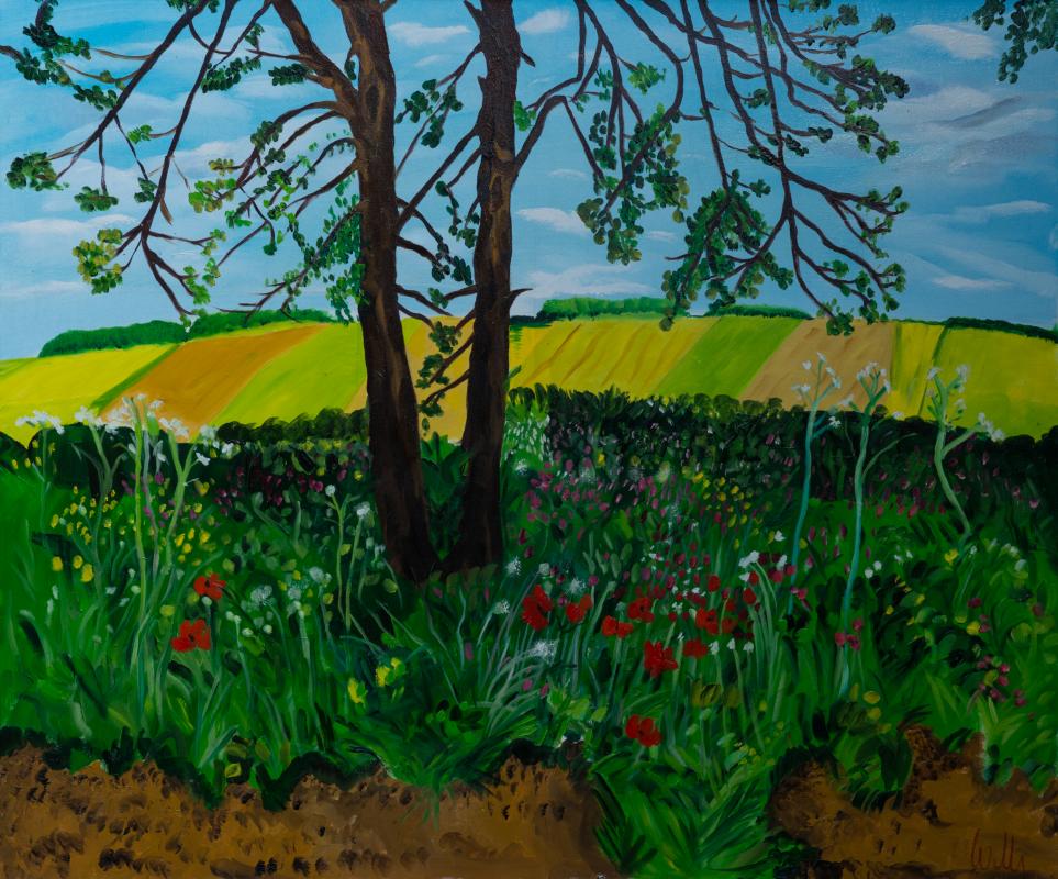 landscape,summer - wolfgang mayer