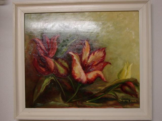 Rote Tulpen - Zdravko Radenkovic