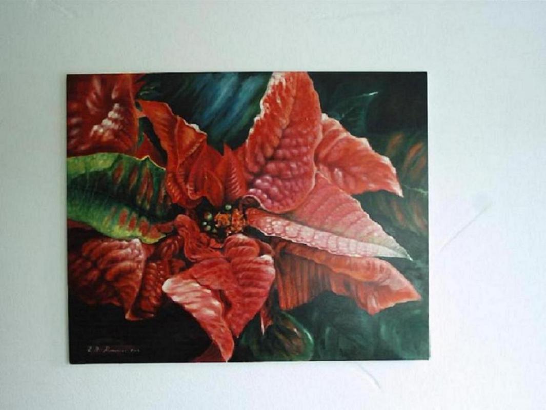 Weihnachtsstern - Zdravko Radenkovic