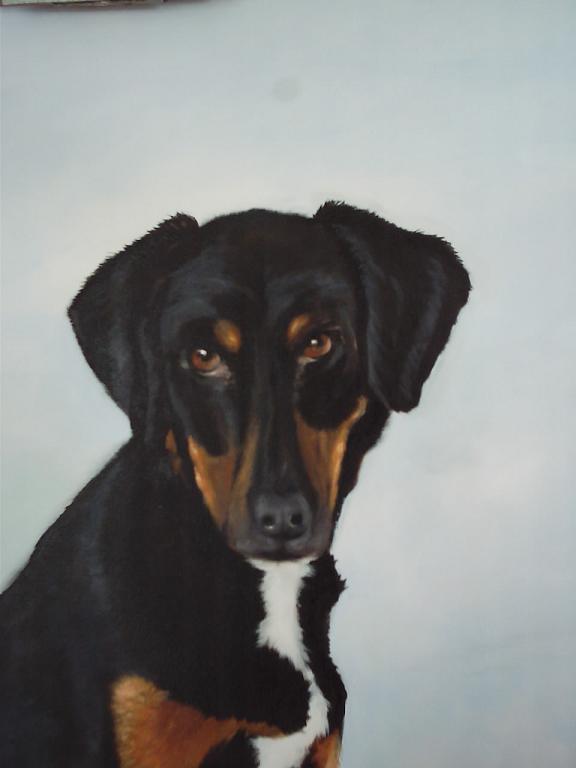 Portrait - Zdravko Radenkovic