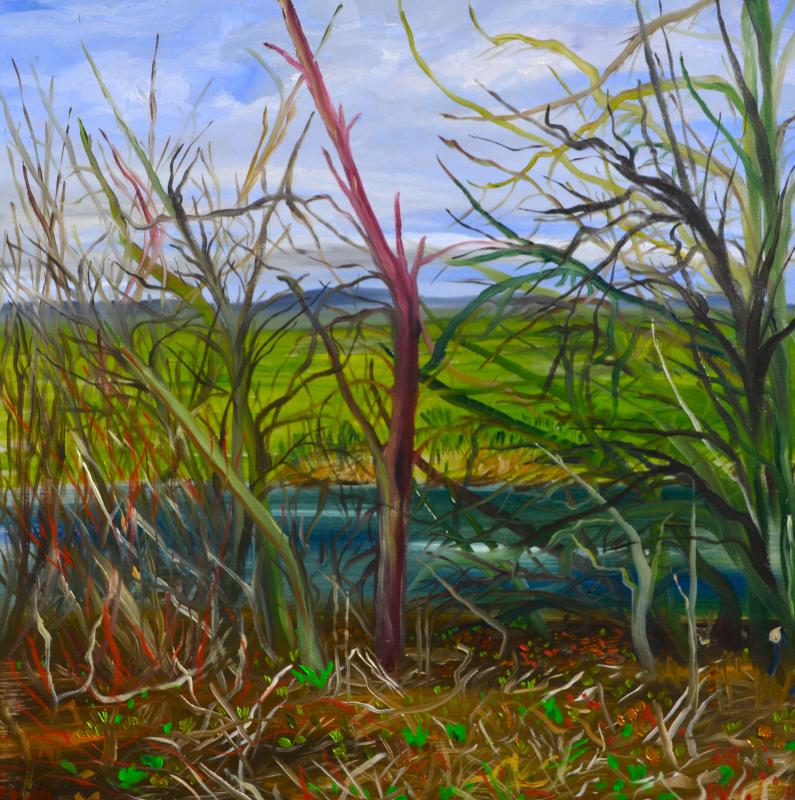 Nidda Auen 2 - wolfgang mayer