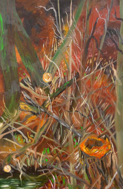 Nidda Auen 3 - wolfgang mayer