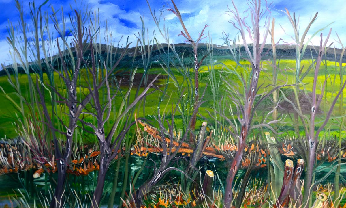 Nidda-Auen 4 - wolfgang mayer