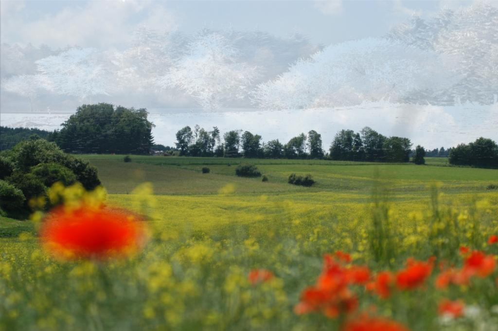 Ein Standpunkt, zwei Ansichten - Arno Schmitt