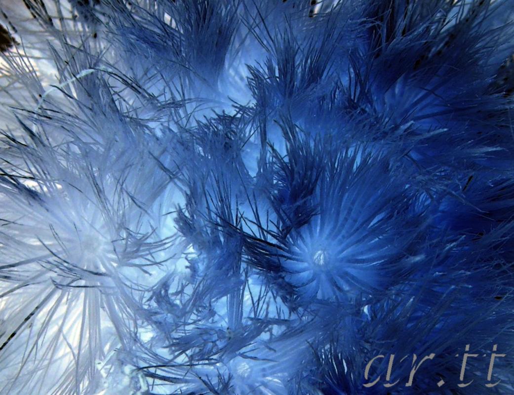 Blue Sea - Arno Schmitt