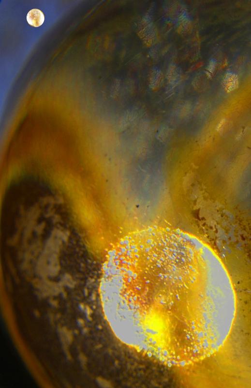 Es ist nicht die Wahrheit, die du siehst - Arno Schmitt