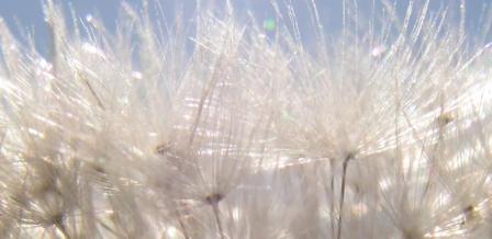 Sonnenflug - Arno Schmitt