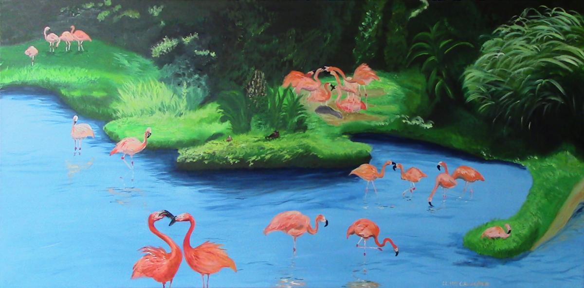 Flamingo-Paradies - Claudia Lüthi
