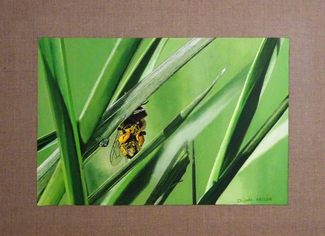 ...nennt sich Maja - dunjate Kunst in Acryl