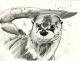 Return to artwork - Otter 04