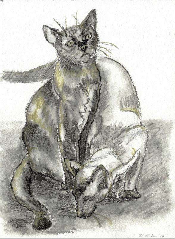 Wegelagerer - Karin Liste