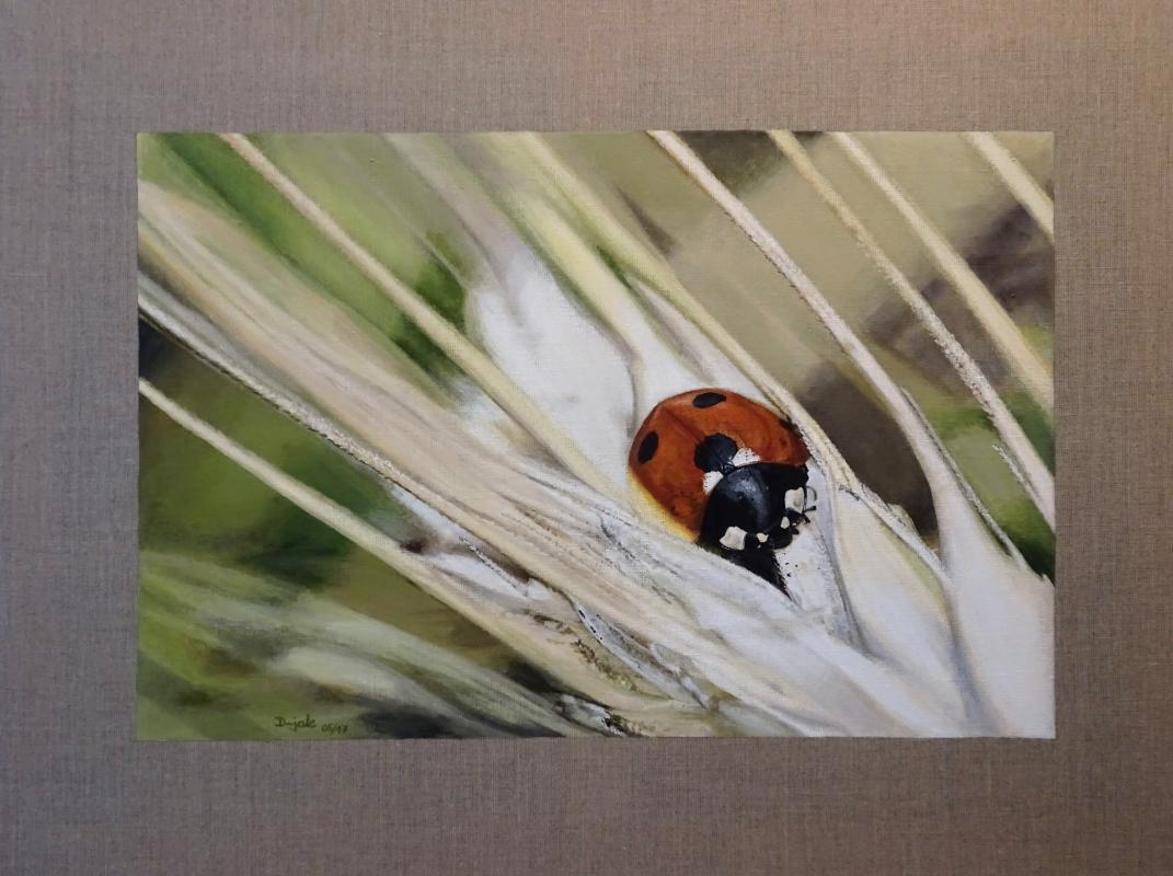 Spot - dunjate Kunst in Acryl