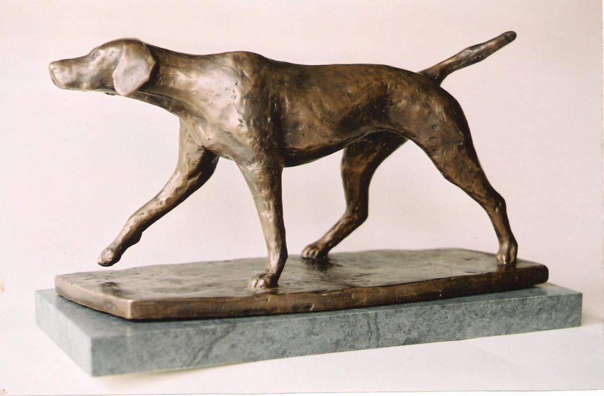 Deutsch-Kurzhaar - Sonja Wasser