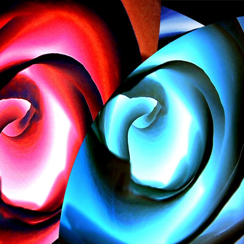 Flowerballs - Bernd  Lauer