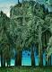 artwork - Der Waldgeist