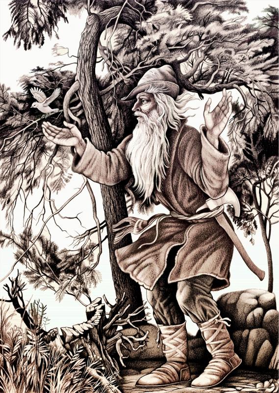 Gütiger Räuber - Konstantin Avdeev