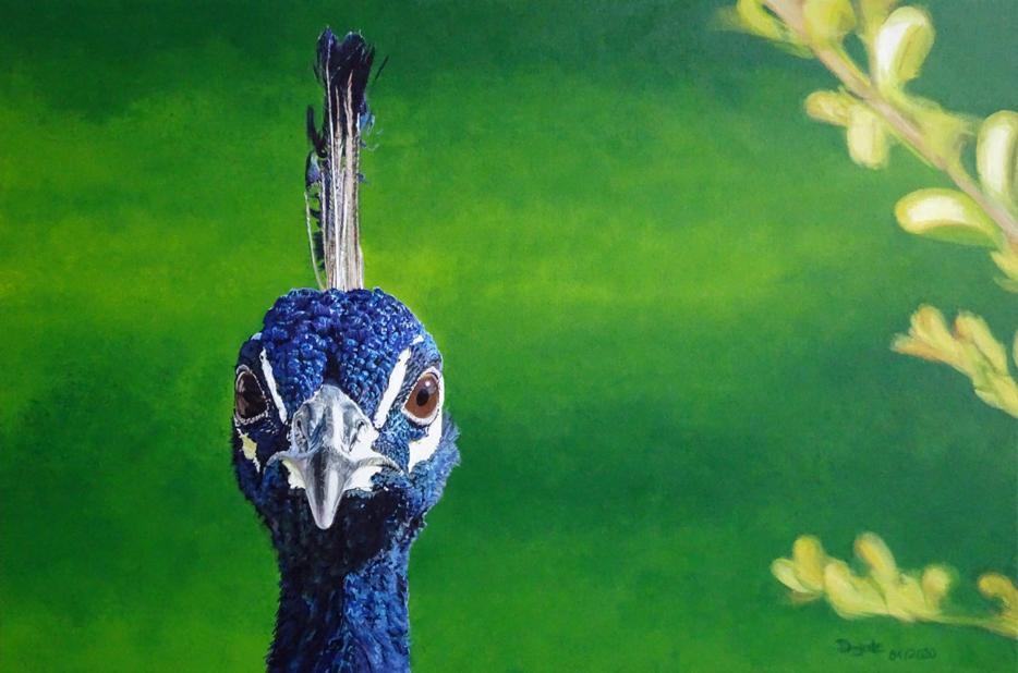 Hola señorita! - dunjate Kunst in Acryl