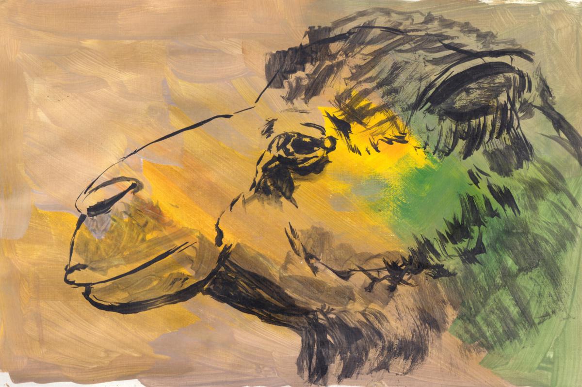 Kamelportrait - Karin Liste