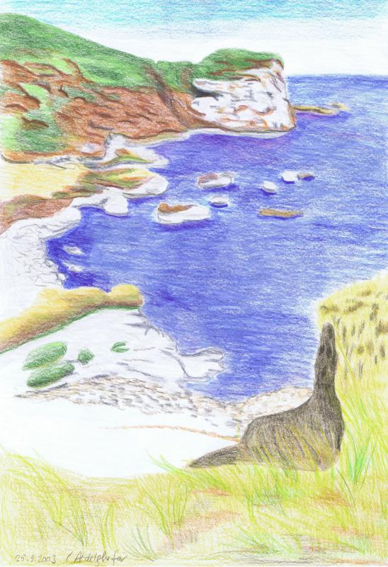 Meeresbucht - Claudia Lüthi