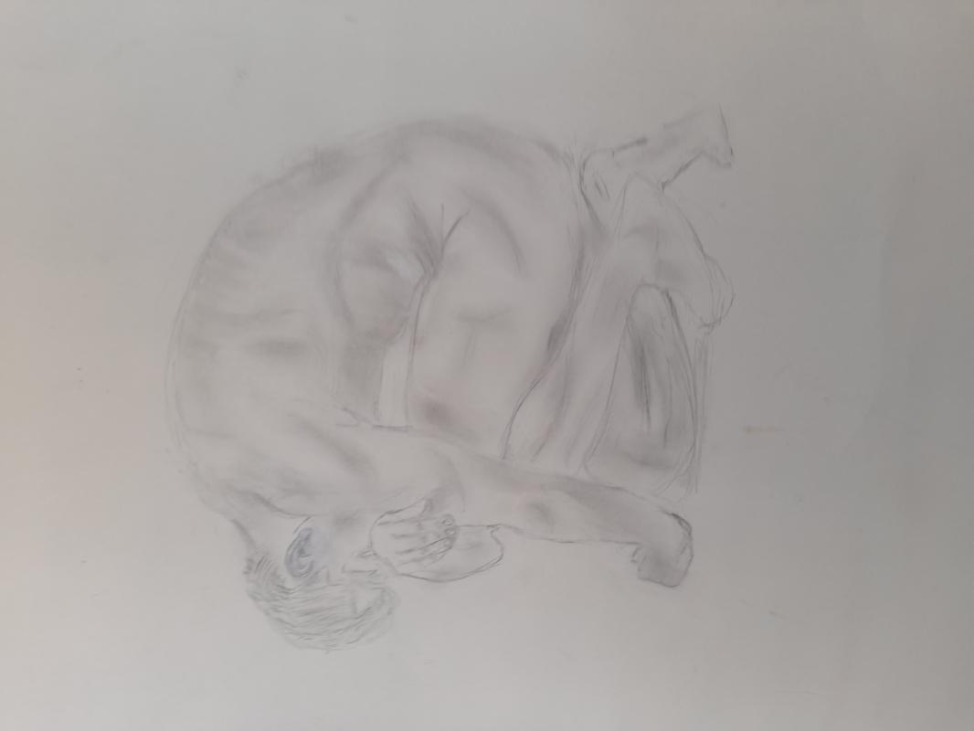 ---m - Sandra Schmit