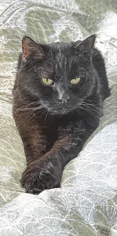 Betty in bed - dunjate Kunst in Acryl