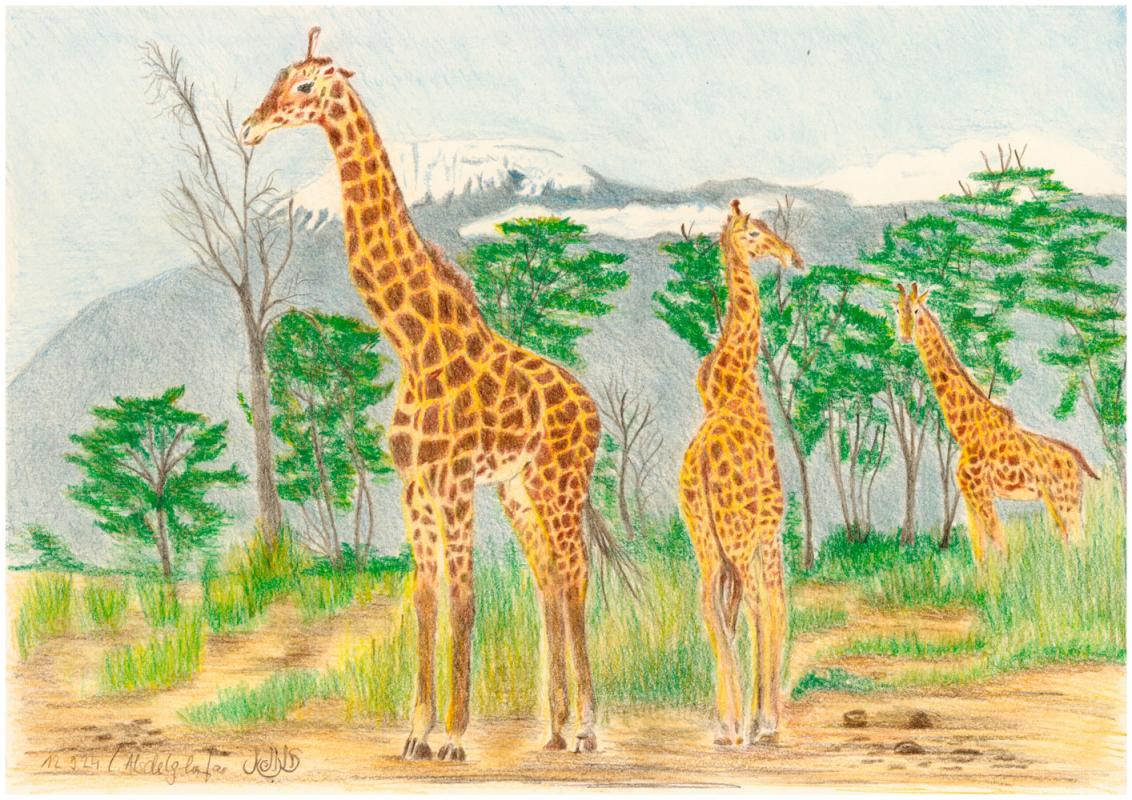 Giraffe-Triologie - Claudia Lüthi
